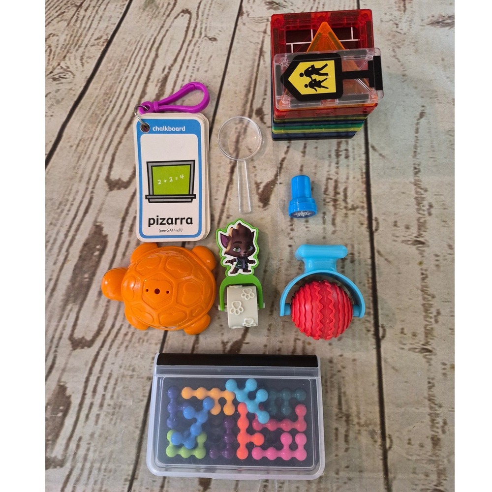 Educational Toy Lot Magnetic Tiles Logic Puzzle Spanish Flashcards Sensory Tools